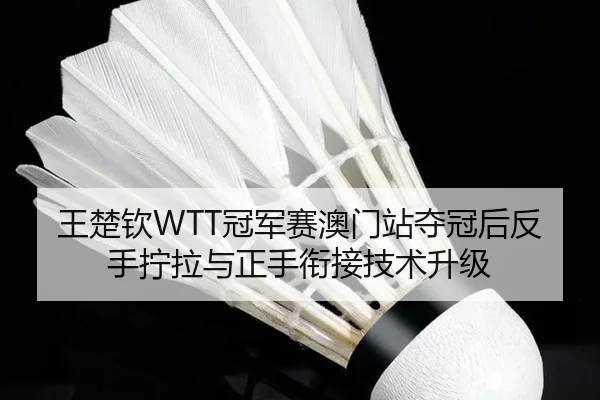 wang-chu-qin-guan-jun-sai-ao-men-zhan-duo-guan-hou-fan-shou-ning-la-yu-zheng-shou-xian-jie-ji-shu-sheng-ji-2-335.jpg