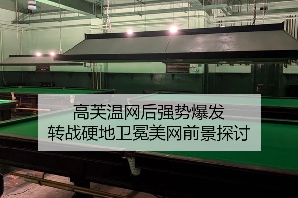 gao-fu-wen-wang-hou-qiang-shi-bao-fa-zhuan-zhan-ying-di-wei-mian-mei-wang-qian-jing-tan-tao-2-359.jpg