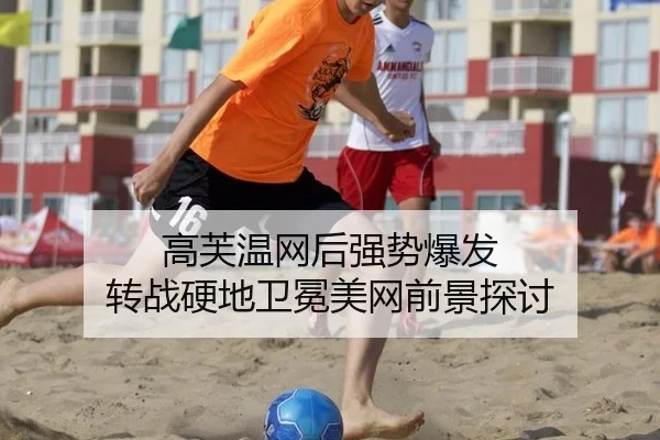 gao-fu-wen-wang-hou-qiang-shi-bao-fa-zhuan-zhan-ying-di-wei-mian-mei-wang-qian-jing-tan-tao-3-669.jpg